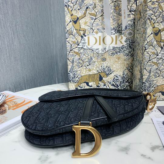 Dior Saddle M0446 25.5x20x6.5cm wo_4